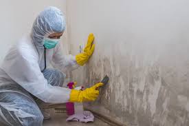 Best Asbestos and Lead Testing During Mold Inspection  in Moraine, OH